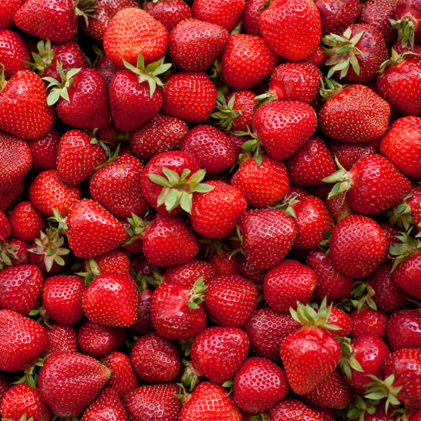 Fraises